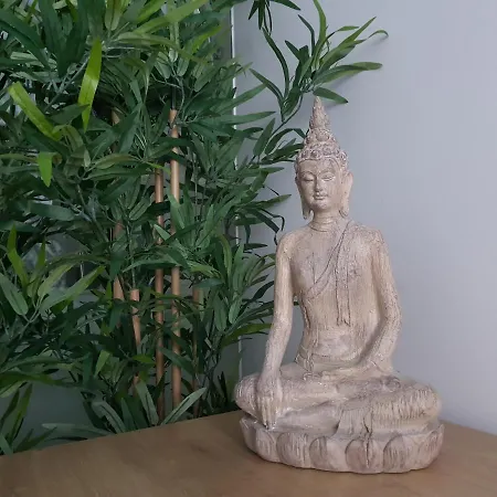 Exotic Fusion Double With Garden *