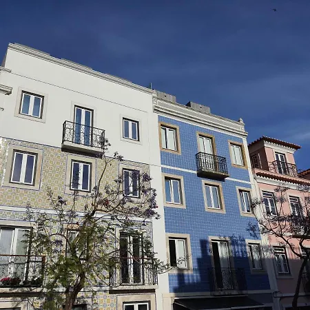 Exotic Fusion Double With Garden *